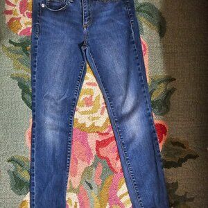 Gap Skinny Jeans Size 3/26 Short